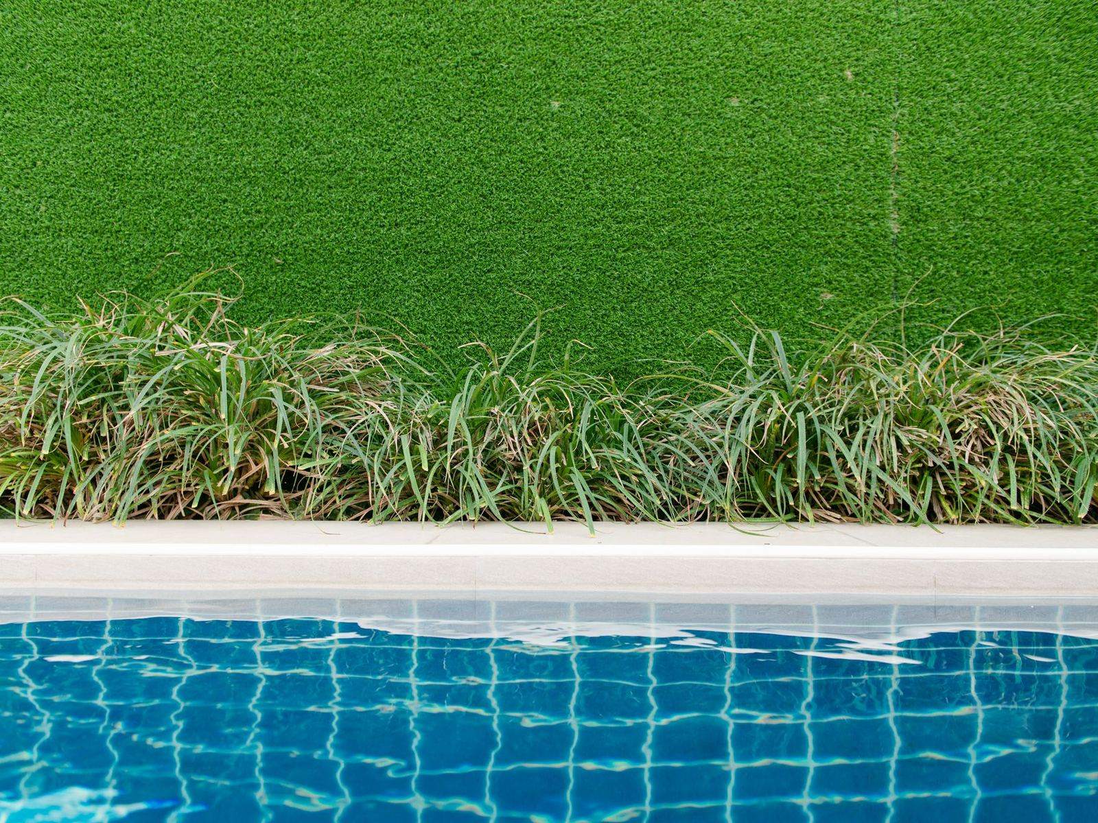 Artificial turf lawn edged with ornamental grass beside a backyard pool